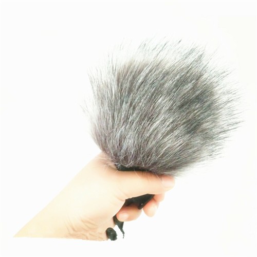Zoom anti wind - h1, noise