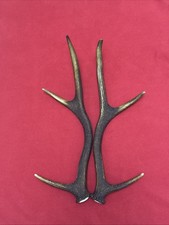 PAIR OF RED DEER ANTLERS 508g