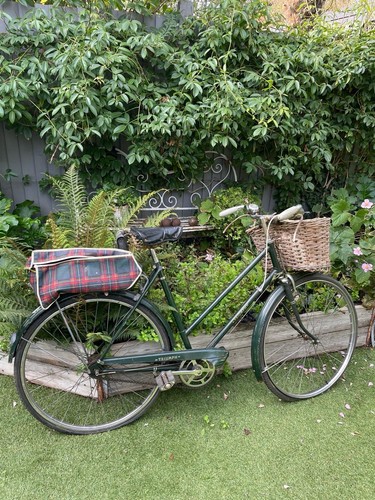Vintage 1950 triumph - 1950’s,