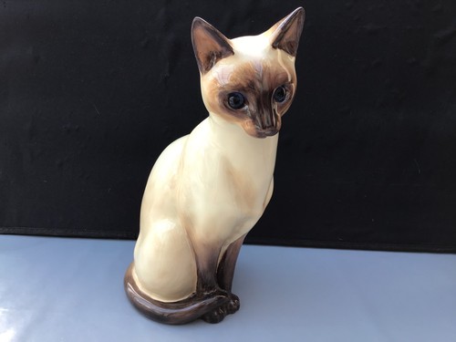 Just cats large siamese - co,