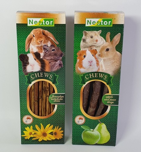 Hamster rabbit degu chinchilla - degu,