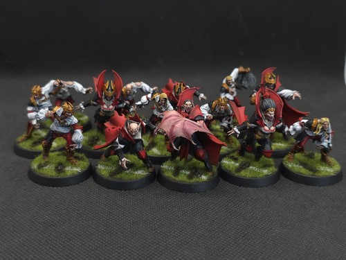 Blood bowl vampire team pro - blood,
