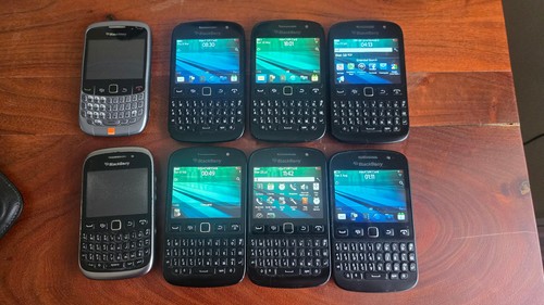 Vintage blackberry bundle - blackberry,
