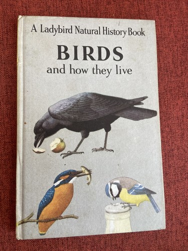 Ladybird book series 651 - ladybird,