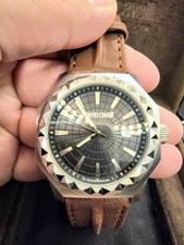 Roberto Cavalli By Frank Muller Men's Watch.