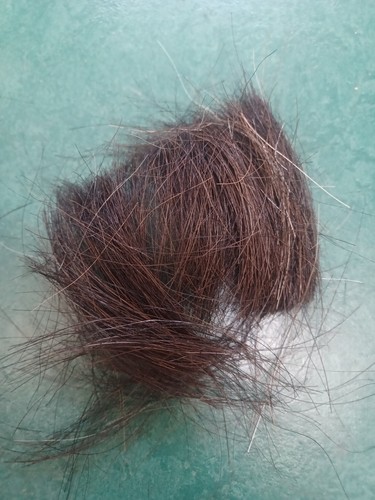 5kg cut horse hair - hair, lime