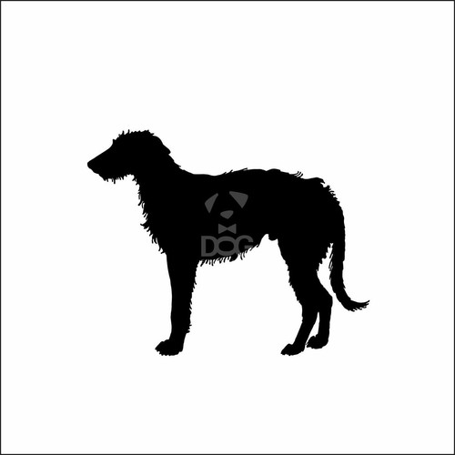 Irish wolfhound dog - car, van