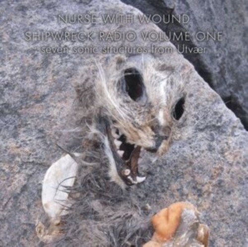 Nurse with wound shipwreck - with,