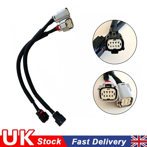 Rear tail light wiring - light,