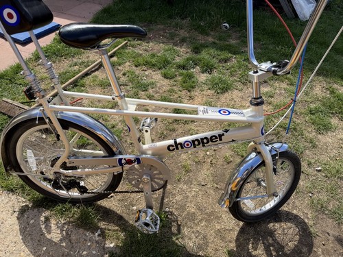 Raleigh chopper 20in - raleigh,