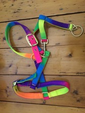 PVC PONY DRIVING UNDER HALTER