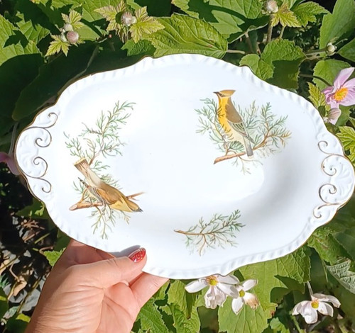 Tuscan audubon birds oval - birds",