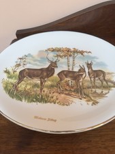 Liverpool Road Pottery Oval