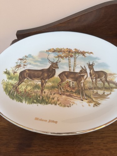 Liverpool road pottery oval - liverpool,