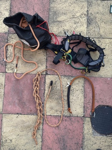 Petzl sequoia arborist harness - sequoia,