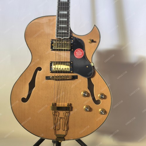 Lpp semi hollow - semi, electric