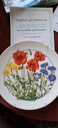 Royal doulton plates - 2,