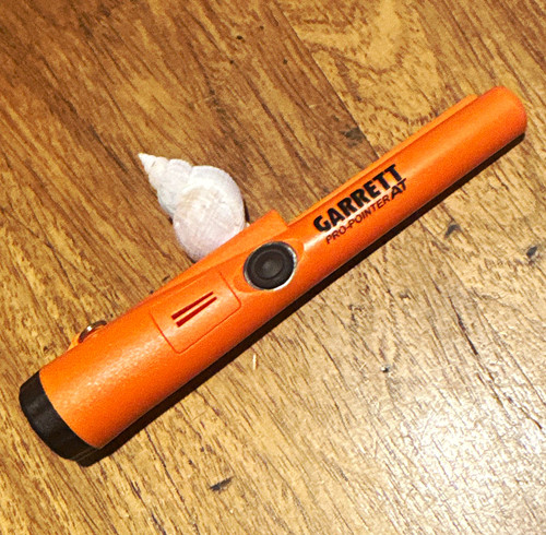 Garrett pro pointer - garrett, pro-pointer