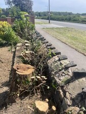 stump grinder hire with operator