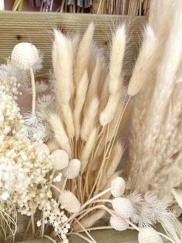 Rabbit tail grass bunny - 20,