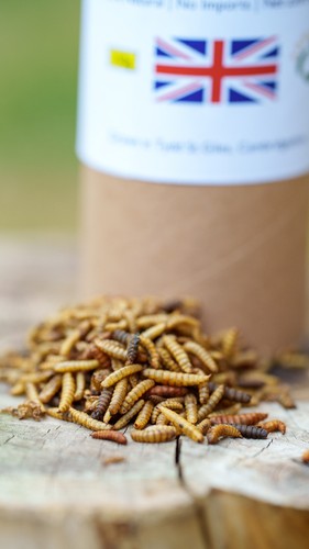 Genuine grown dried - uk,