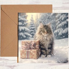 Maine Coon with Present |