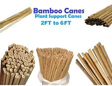 Professional Heavy Duty Bamboo Canes Strong Garden Canes Plant Support 2FT-6FT !
