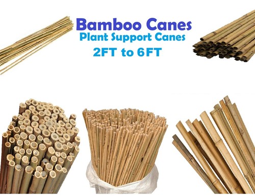 Professional heavy duty - professional, bamboo