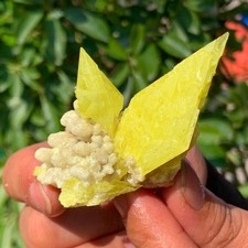 56G Beautiful Minerals ** LARGE NATIVE SULPHUR OnMATRIX Sicily- FREE