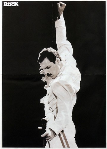 Queen freddie mercury poster - freddie,