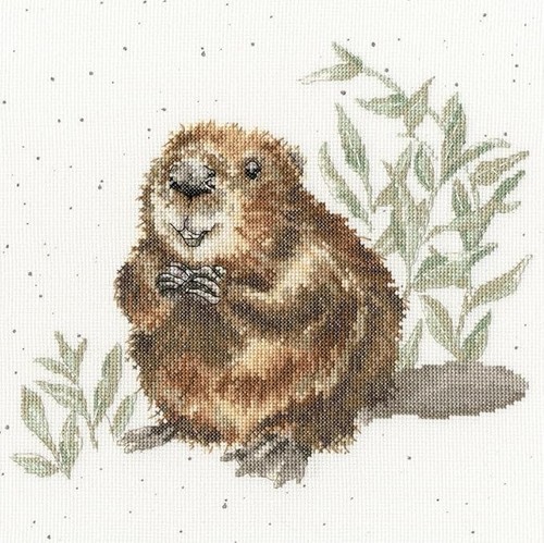Bothy threads cross - cross, stitch