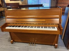 Beautiful Waldstein Upright