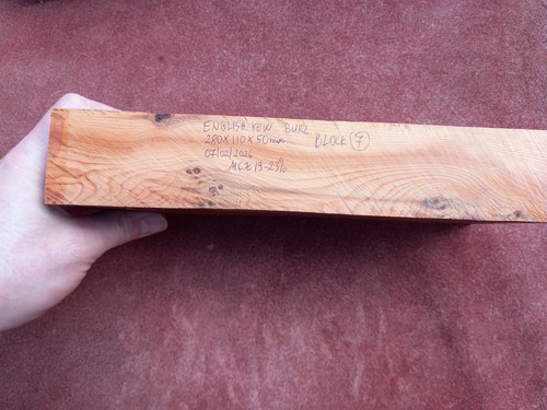 English yew burl - yew, for