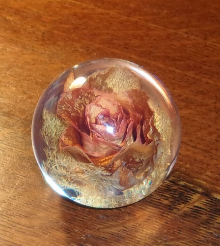 Hafod grange preserved rose - hafod,