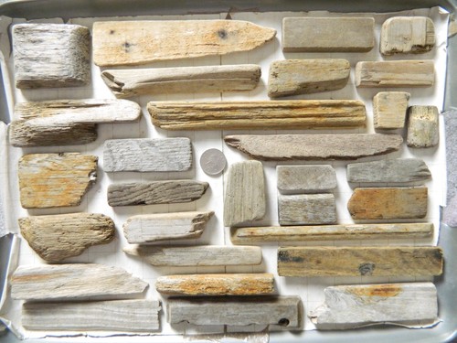 Driftwood pieces flat one - pieces, side
