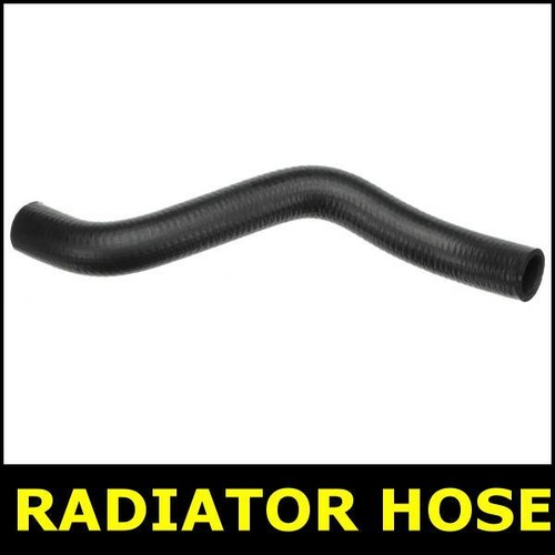 Radiator hose lower fits - hose,