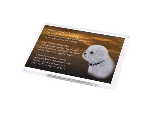 Bichon frise dog fridge magnet - dog,