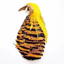 Fly Tying Golden Pheasant