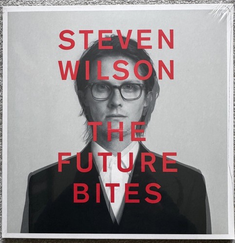 Steven wilson the future - wilson,