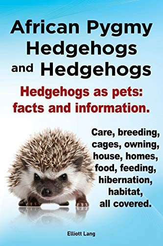 African pygmy hedgehogs - pygmy, and