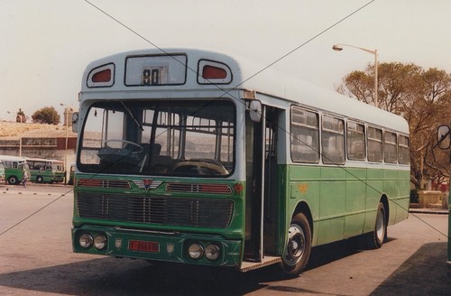 Bus photo green - photo,, malta