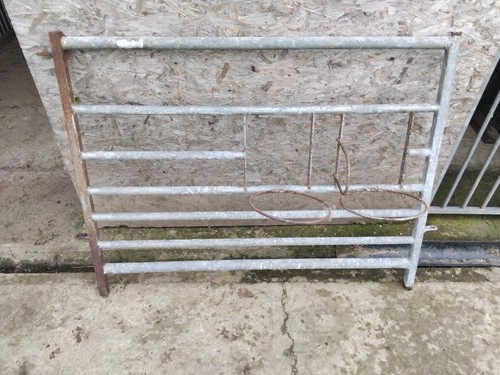 Galvanised sheep lambing - galvanised,
