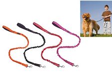 Bungee Dog Leash Stretch Elastic Dog Lead For Training Working Small Medium