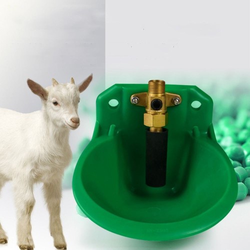 Automatic water bowl liquid - water,