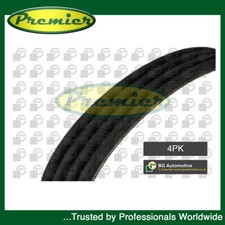 Premier V Ribbed Drive Belt