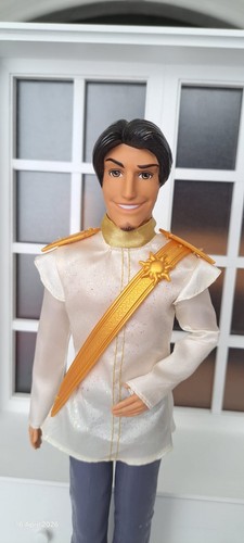 Disney princess prince flynn - princess,
