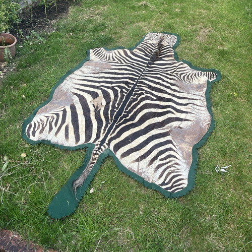 Zebra hide leather rug - leather,