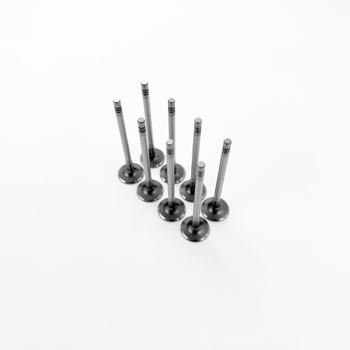 Set inlet valves for - set,