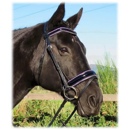 Fss anatomic bridle freeway - fss,