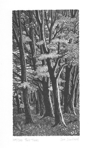 Wood engraving sue scullard - wood,